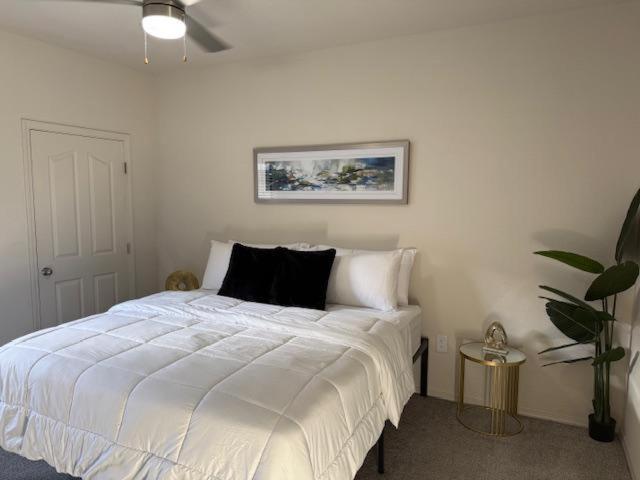 Zen Oasis Phoenix